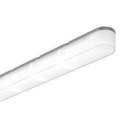 WIGGLE - L SK2901040